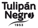 Tulipán Negro