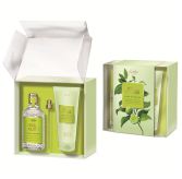 Acqua Colonia Lime and Nutmeg Pack 2 Pieces