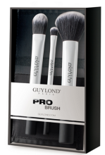 September 3 Brushes With Case