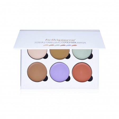 Color Correcting Concealer Palette