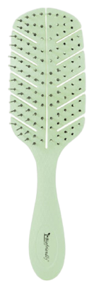 Bifull Biofriendly Biodegradable Skeleton Brush