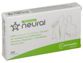 Plactive Neural Plactive Neural