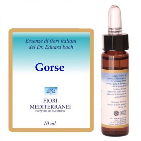 Forza Vitale Fm 13 Gorse 10 ml
