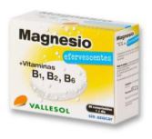 Effervescent Magnesium + B 24Comp. Effervescent Magnesium + B 24Comp.